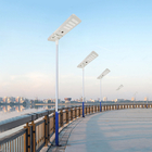 2 Heads 100W Led Luminaires For Road And Street Lighting  715x350x60mm