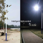 Solar Powered Led Garden Lights 3030 Smd Led Lamp For Road 210x500mm